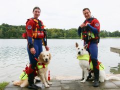 Zwei Hunde sollen Rettungsschwimmer werden