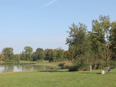 Untersuchungen der Badeseen im Landkreis Dachau: Wasserqualität einwandfrei