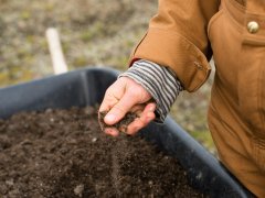 Torffreies Gärtnern – Ein Beitrag zum Umweltschutz im Frühjahr Torffreies Gärtnern – Ein Beitrag zum Umweltschutz im Frühjahr