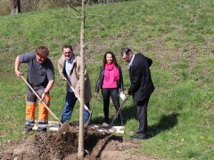 Baum statt Karte – HR Team Consult GmbH setzt auf grüne Zukunft in Karlsfeld Baum statt Karte – HR Team Consult GmbH setzt auf grüne Zukunft in Karlsfeld