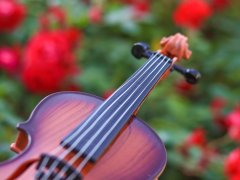 „Konzert im Advent“ des Karlsfelder Sinfonieorchesters