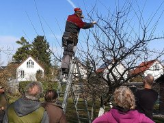 Scharfe Scheren, reiche Ernte: Fachwissen an der Astgabel Scharfe Scheren, reiche Ernte: Fachwissen an der Astgabel